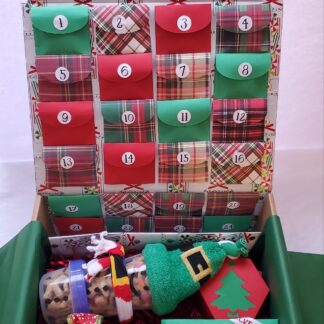 Advent Doggy Christmas Calendar Gift Box (Green)